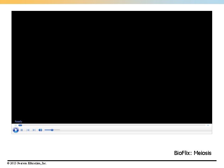 Bio. Flix: Meiosis © 2013 Pearson Education, Inc. Bio. Flix: Meiosis © 2013 Pearson Education, Inc.