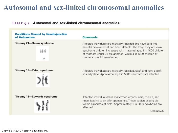 Autosomal and sex-linked chromosomal anomalies Copyright © 2010 Pearson Education, Inc. Autosomal and sex-linked chromosomal anomalies Copyright © 2010 Pearson Education, Inc.