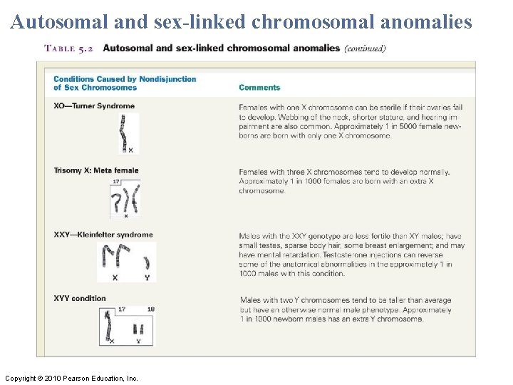 Autosomal and sex-linked chromosomal anomalies Copyright © 2010 Pearson Education, Inc. Autosomal and sex-linked chromosomal anomalies Copyright © 2010 Pearson Education, Inc.
