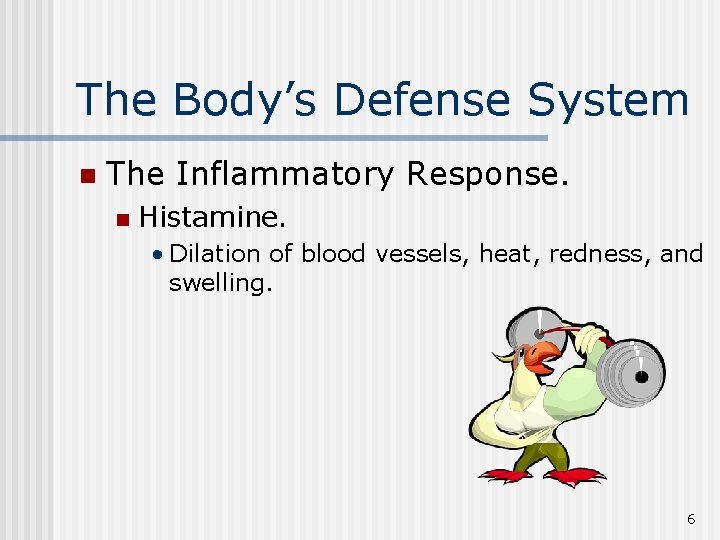 The Body’s Defense System n The Inflammatory Response. n Histamine. • Dilation of blood