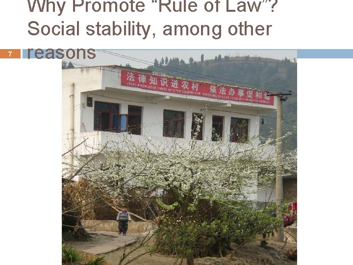 7 Why Promote “Rule of Law”? Social stability, among other reasons 