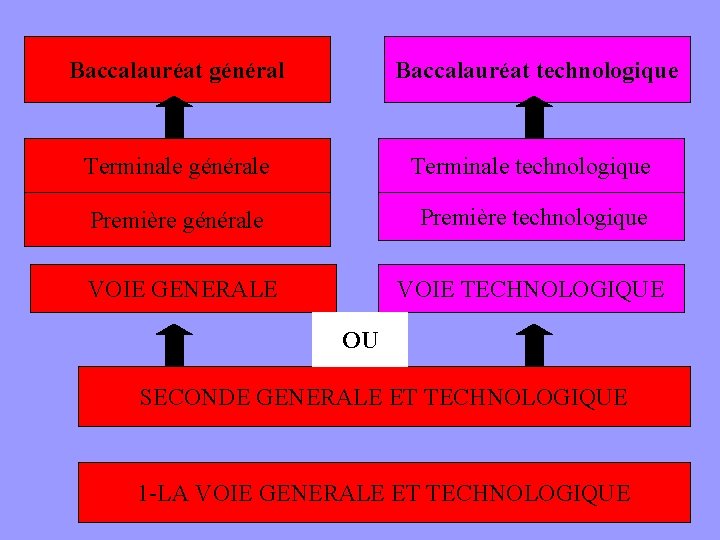 Baccalauréat général Baccalauréat technologique Terminale générale Terminale technologique Première générale Première technologique VOIE GENERALE