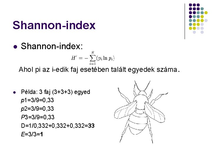 Shannon-index l Shannon-index: Ahol pi az i-edik faj esetében talált egyedek száma. l Példa: