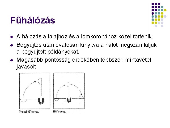 Fűhálózás l l l A hálozás a talajhoz és a lomkoronához közel történik. Begyűjtés