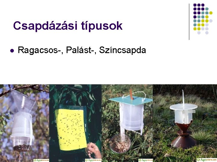 Csapdázási típusok l Ragacsos-, Palást-, Színcsapda 