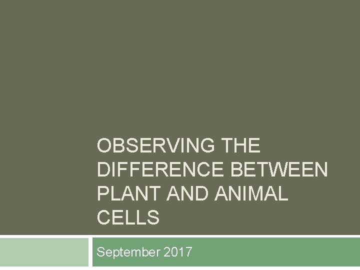 OBSERVING THE DIFFERENCE BETWEEN PLANT AND ANIMAL CELLS September 2017 