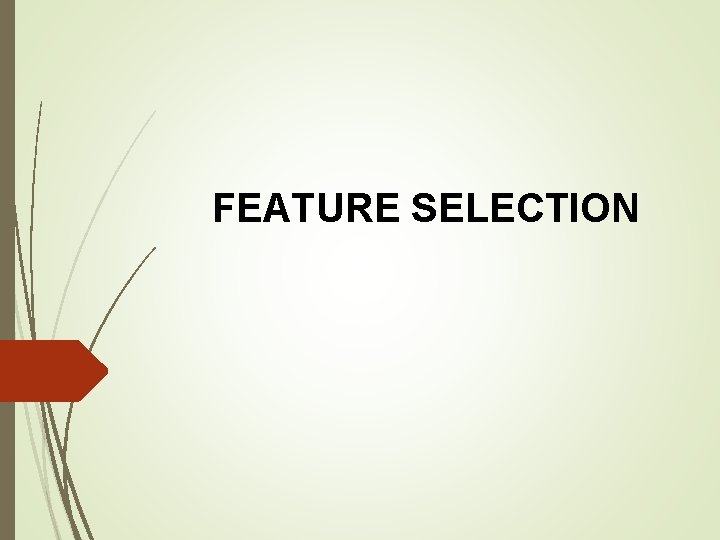 FEATURE SELECTION 