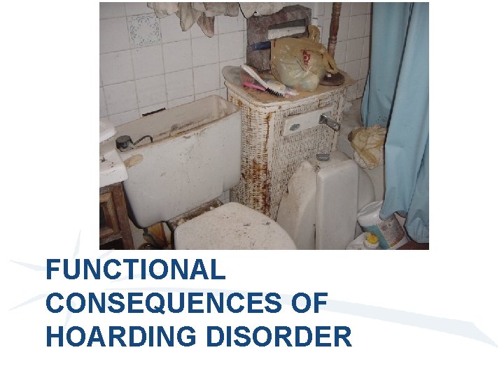 FUNCTIONAL CONSEQUENCES OF HOARDING DISORDER 