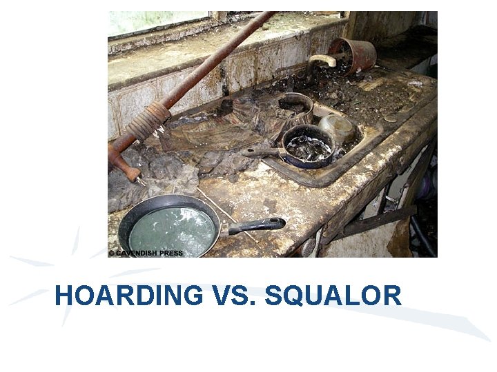 HOARDING VS. SQUALOR 