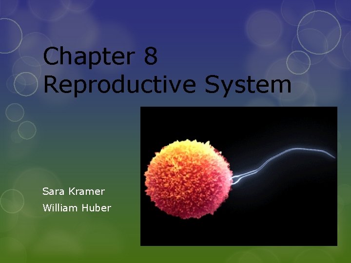 Chapter 8 Reproductive System Sara Kramer William Huber 
