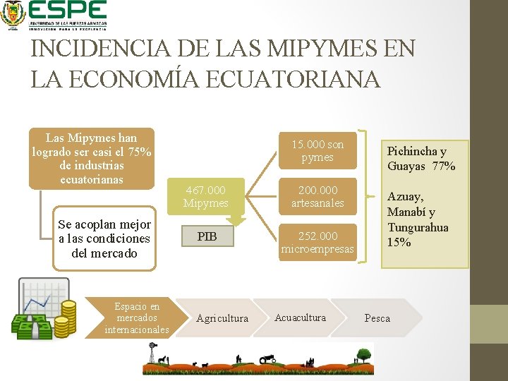 INCIDENCIA DE LAS MIPYMES EN LA ECONOMÍA ECUATORIANA Las Mipymes han logrado ser casi