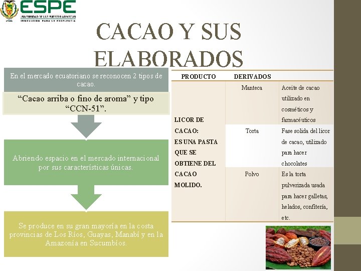 CACAO Y SUS ELABORADOS En el mercado ecuatoriano se reconocen 2 tipos de cacao.