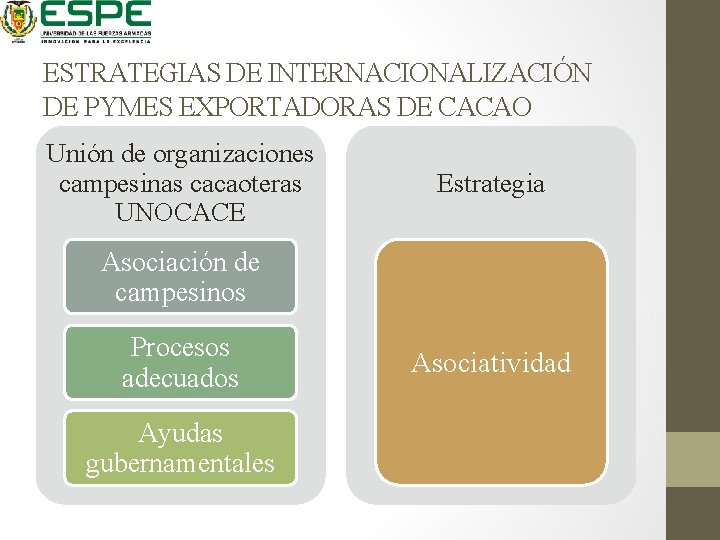 ESTRATEGIAS DE INTERNACIONALIZACIÓN DE PYMES EXPORTADORAS DE CACAO Unión de organizaciones campesinas cacaoteras UNOCACE