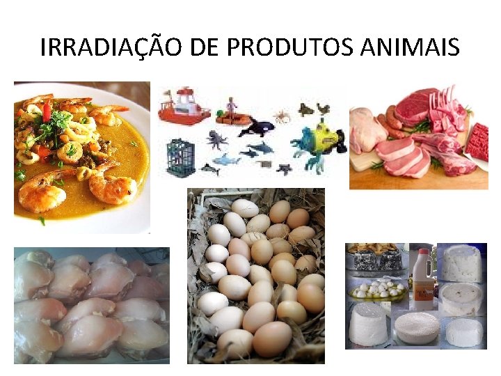 IRRADIAÇÃO DE PRODUTOS ANIMAIS 