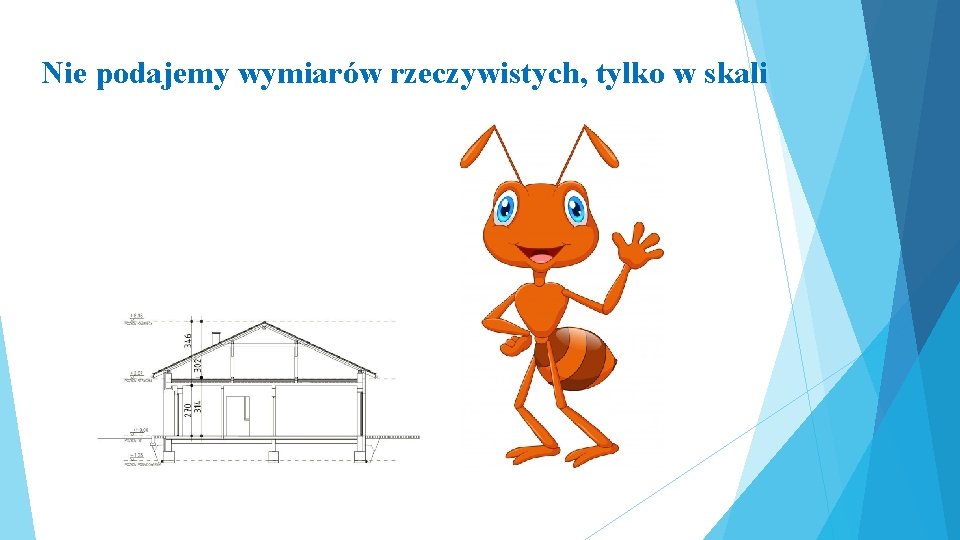 Nie podajemy wymiarów rzeczywistych, tylko w skali 