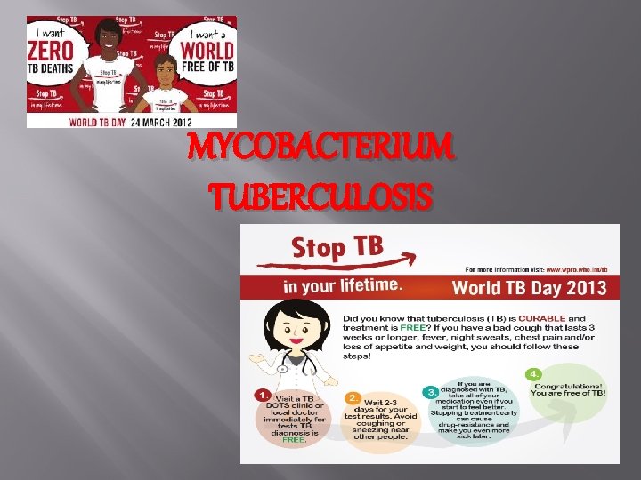 MYCOBACTERIUM TUBERCULOSIS 