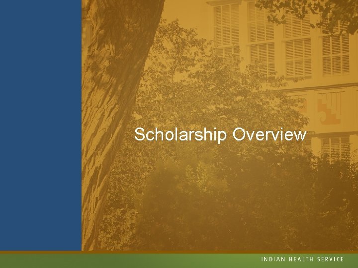 Scholarship Overview 