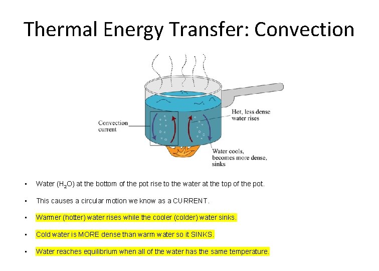 Thermal Energy Transfer: Convection • Water (H 2 O) at the bottom of the