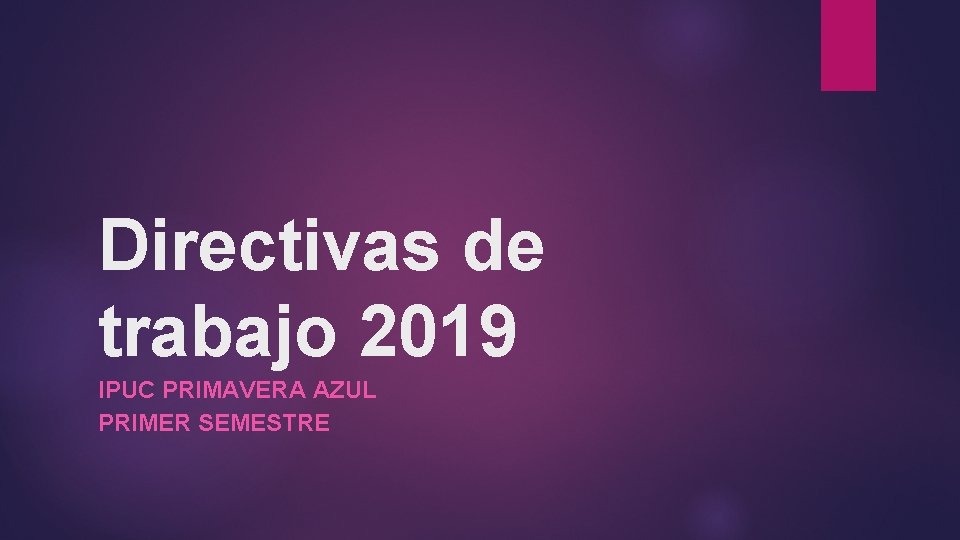 Directivas de trabajo 2019 IPUC PRIMAVERA AZUL PRIMER SEMESTRE 