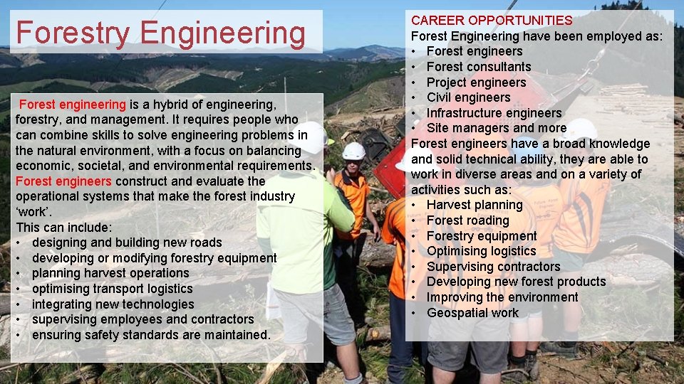 Forestry Engineering Forest engineering is a hybrid of engineering, forestry, and management. It requires