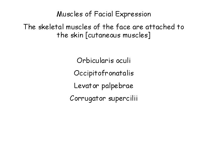 Muscles of Facial Expression The skeletal muscles of the face are attached to the