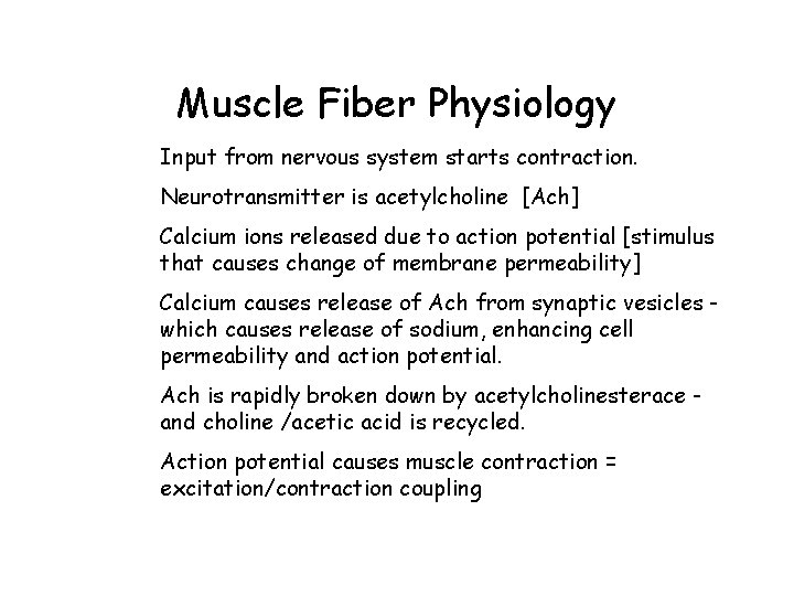 Muscle Fiber Physiology Input from nervous system starts contraction. Neurotransmitter is acetylcholine [Ach] Calcium