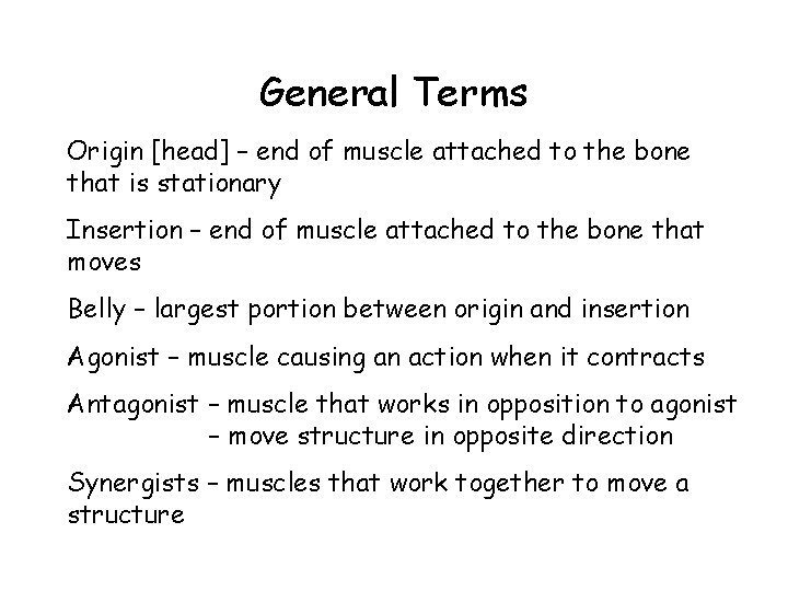 General Terms Origin [head] – end of muscle attached to the bone that is