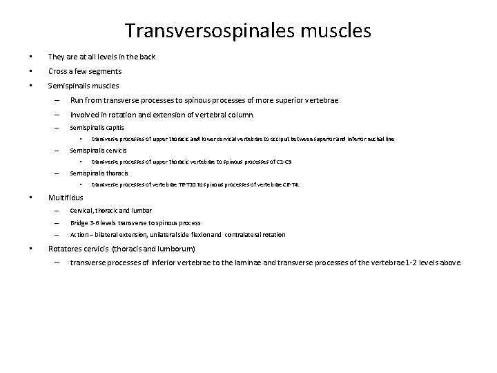 Transversospinales muscles • They are at all levels in the back • Cross a