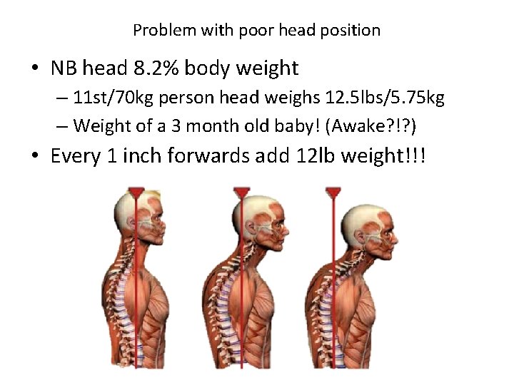 Problem with poor head position • NB head 8. 2% body weight – 11