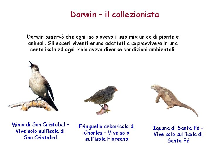 Darwin – il collezionista Darwin osservò che ogni isola aveva il suo mix unico
