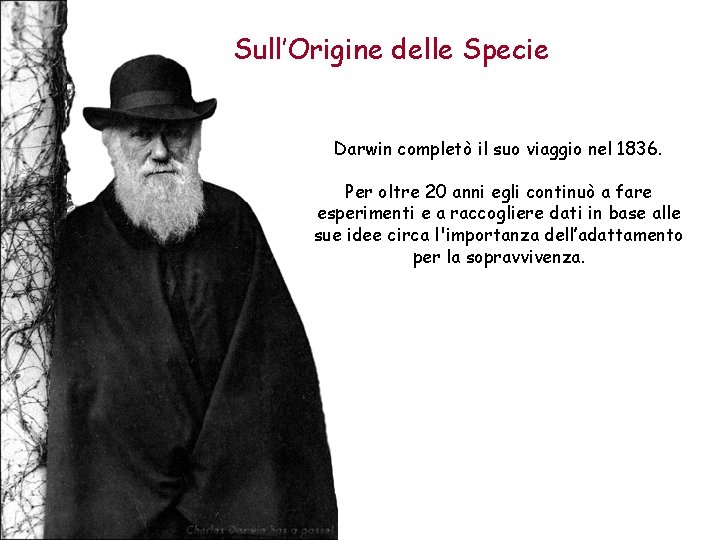 Sull’Origine delle Specie Darwin completò il suo viaggio nel 1836. Per oltre 20 anni