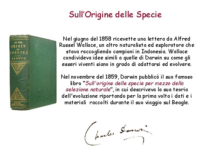 Sull’Origine delle Specie Nel giugno del 1858 ricevette una lettera da Alfred Russel Wallace,