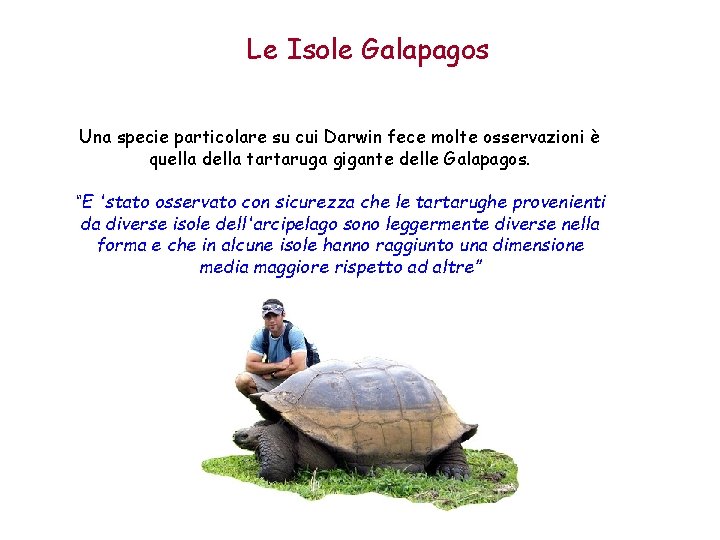 Le Isole Galapagos Una specie particolare su cui Darwin fece molte osservazioni è quella