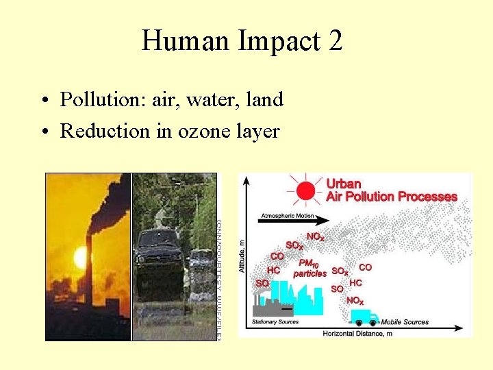 Human Impact 2 • Pollution: air, water, land • Reduction in ozone layer 