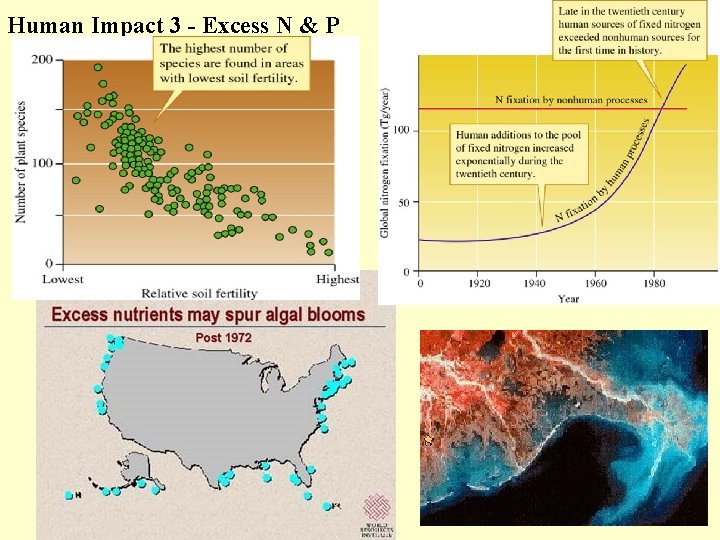 Human Impact 3 - Excess N & P 