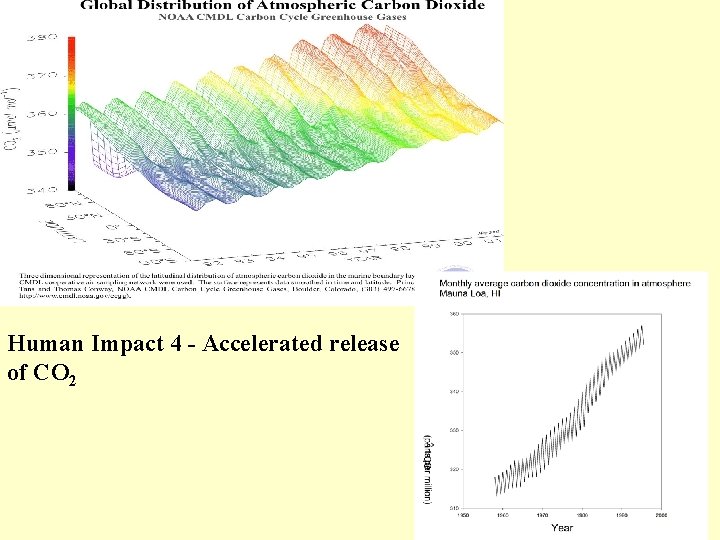 Human Impact 4 - Accelerated release of CO 2 