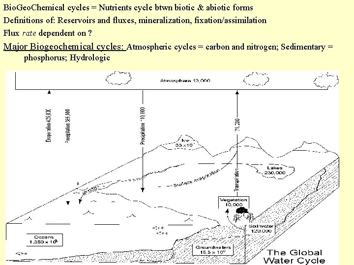 Bio. Geo. Chemical cycles = Nutrients cycle btwn biotic & abiotic forms Definitions of: