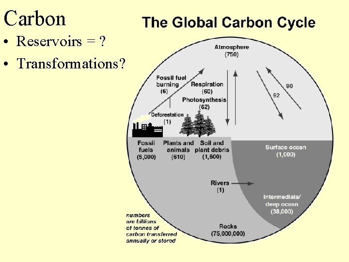 Carbon • Reservoirs = ? • Transformations? 