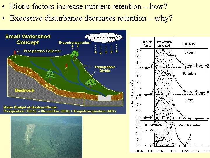  • Biotic factors increase nutrient retention – how? • Excessive disturbance decreases retention