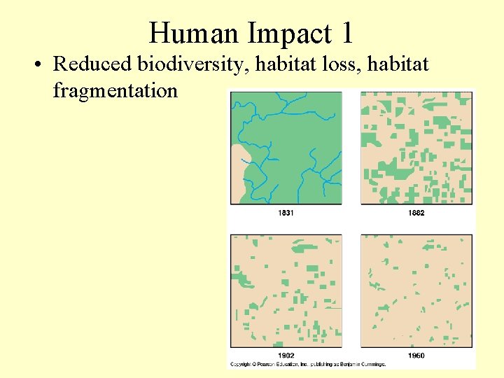 Human Impact 1 • Reduced biodiversity, habitat loss, habitat fragmentation 