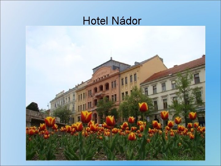 Hotel Nádor 