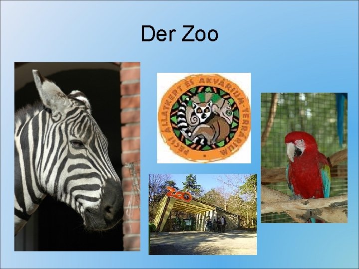 Der Zoo 