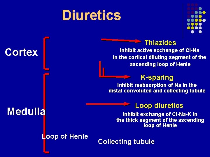 Diuretics Thiazides Cortex Inhibit active exchange of Cl-Na in the cortical diluting segment of