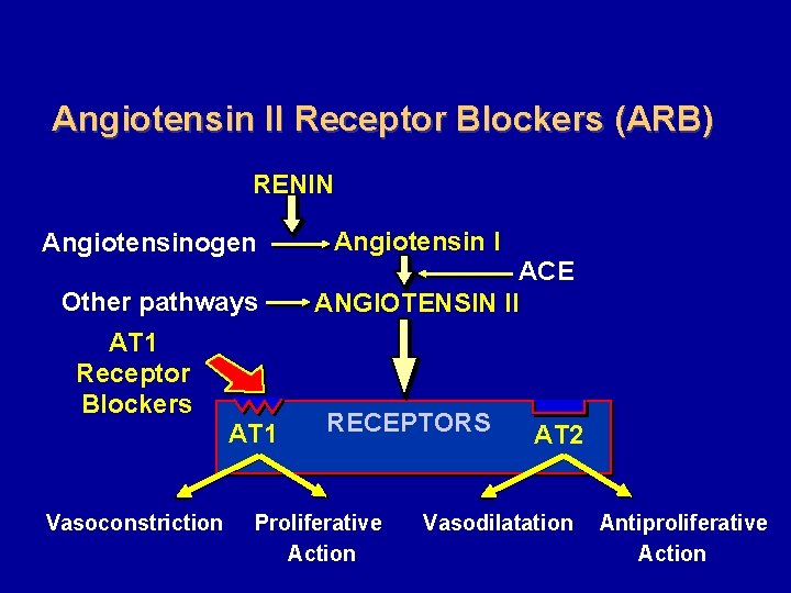 Angiotensin II Receptor Blockers (ARB) RENIN Angiotensinogen Other pathways AT 1 Receptor Blockers AT