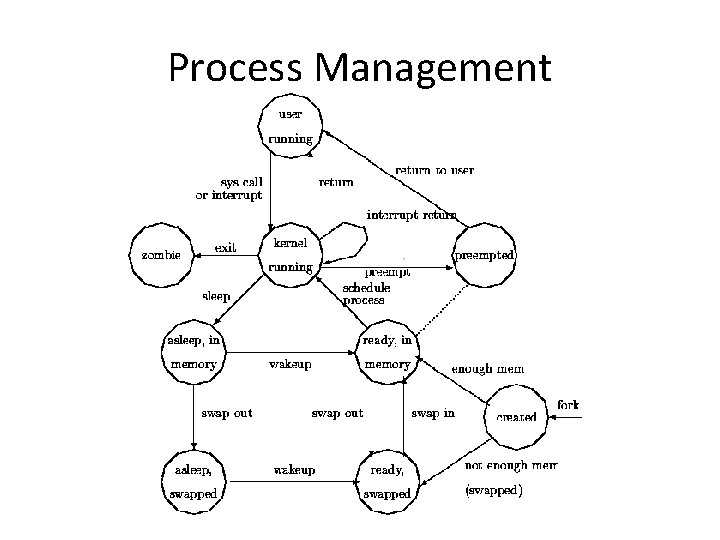 Process Management 