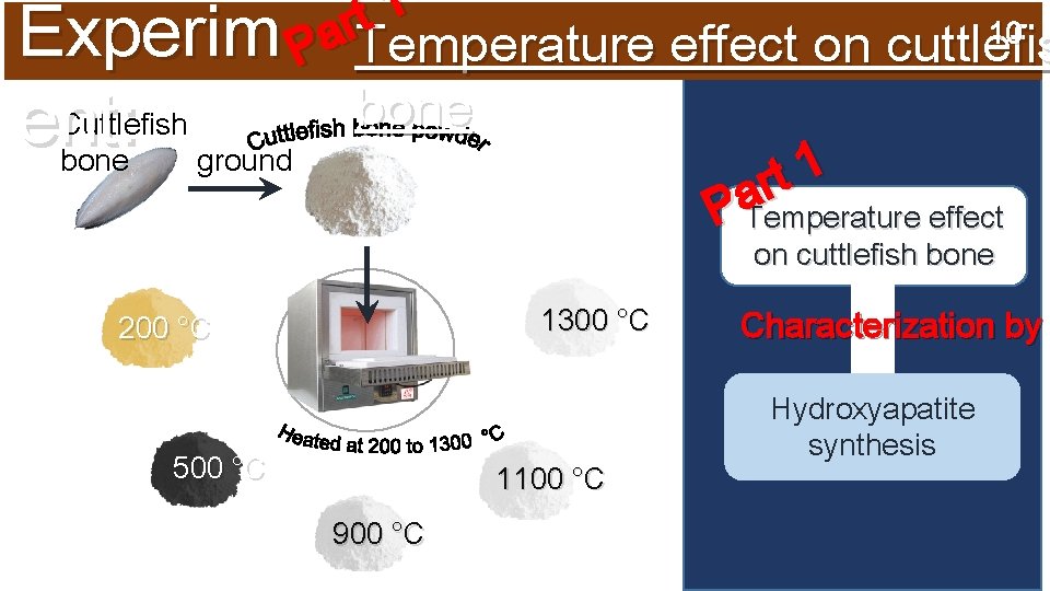 1 t 10 Experim Par. Temperature effect on cuttlefis ent: Cuttlefish ground bone 1