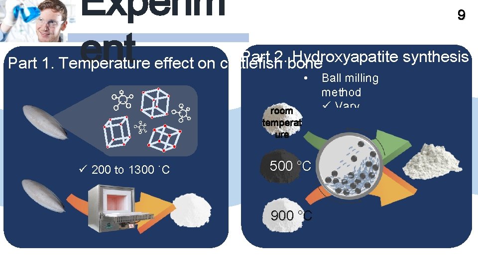 Experim ent 9 Part 2. bone Hydroxyapatite synthesis Part 1. Temperature effect on cuttlefish
