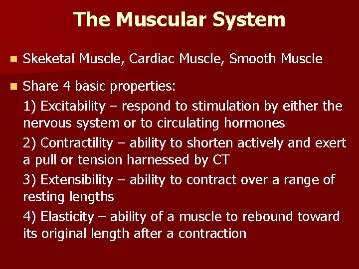 The Muscular System n Skeketal Muscle, Cardiac Muscle, Smooth Muscle n Share 4 basic The Muscular System n Skeketal Muscle, Cardiac Muscle, Smooth Muscle n Share 4 basic