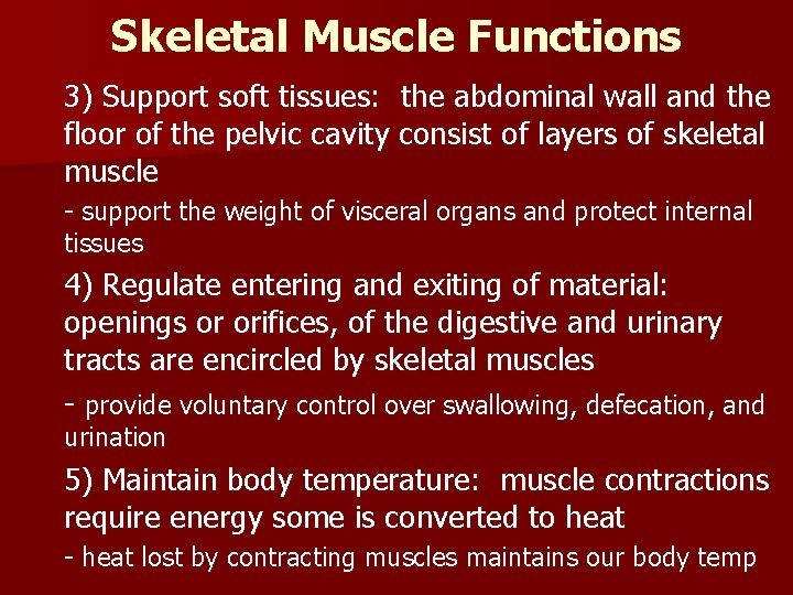 Skeletal Muscle Functions 3) Support soft tissues: the abdominal wall and the floor of Skeletal Muscle Functions 3) Support soft tissues: the abdominal wall and the floor of