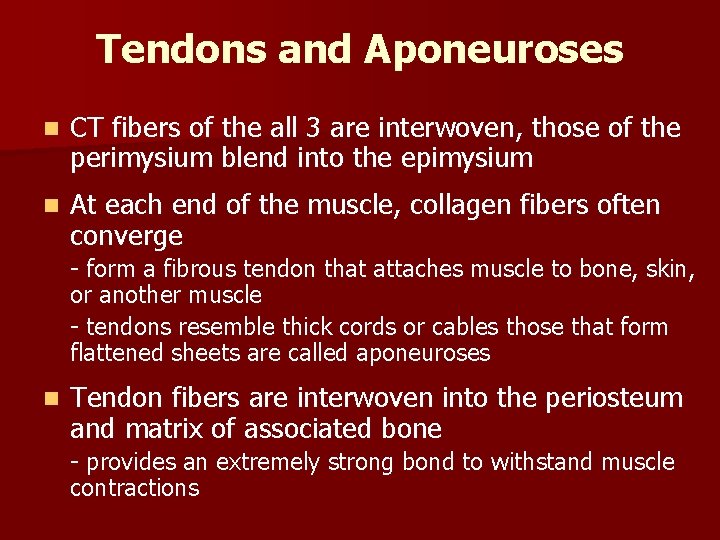 Tendons and Aponeuroses n CT fibers of the all 3 are interwoven, those of Tendons and Aponeuroses n CT fibers of the all 3 are interwoven, those of